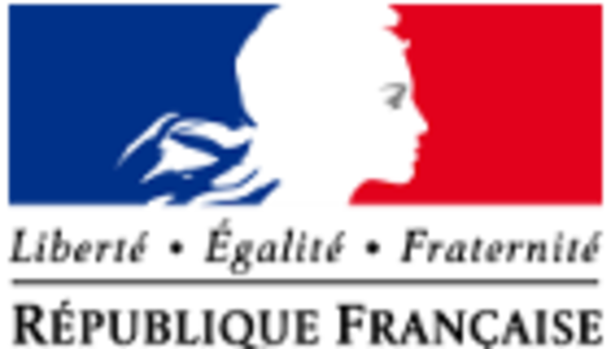 Disclaimer logo